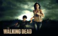 /album/walking-dead1/the-walking-dead-wallpaper-9-jpg/